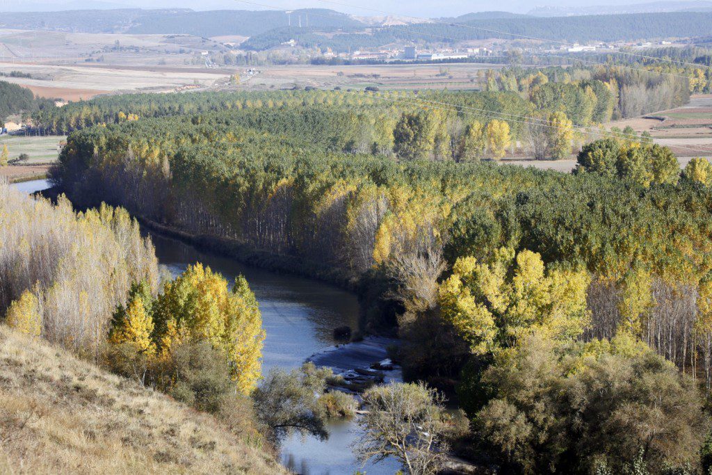 Paisaje Herrera de Pisuerga entorno natural