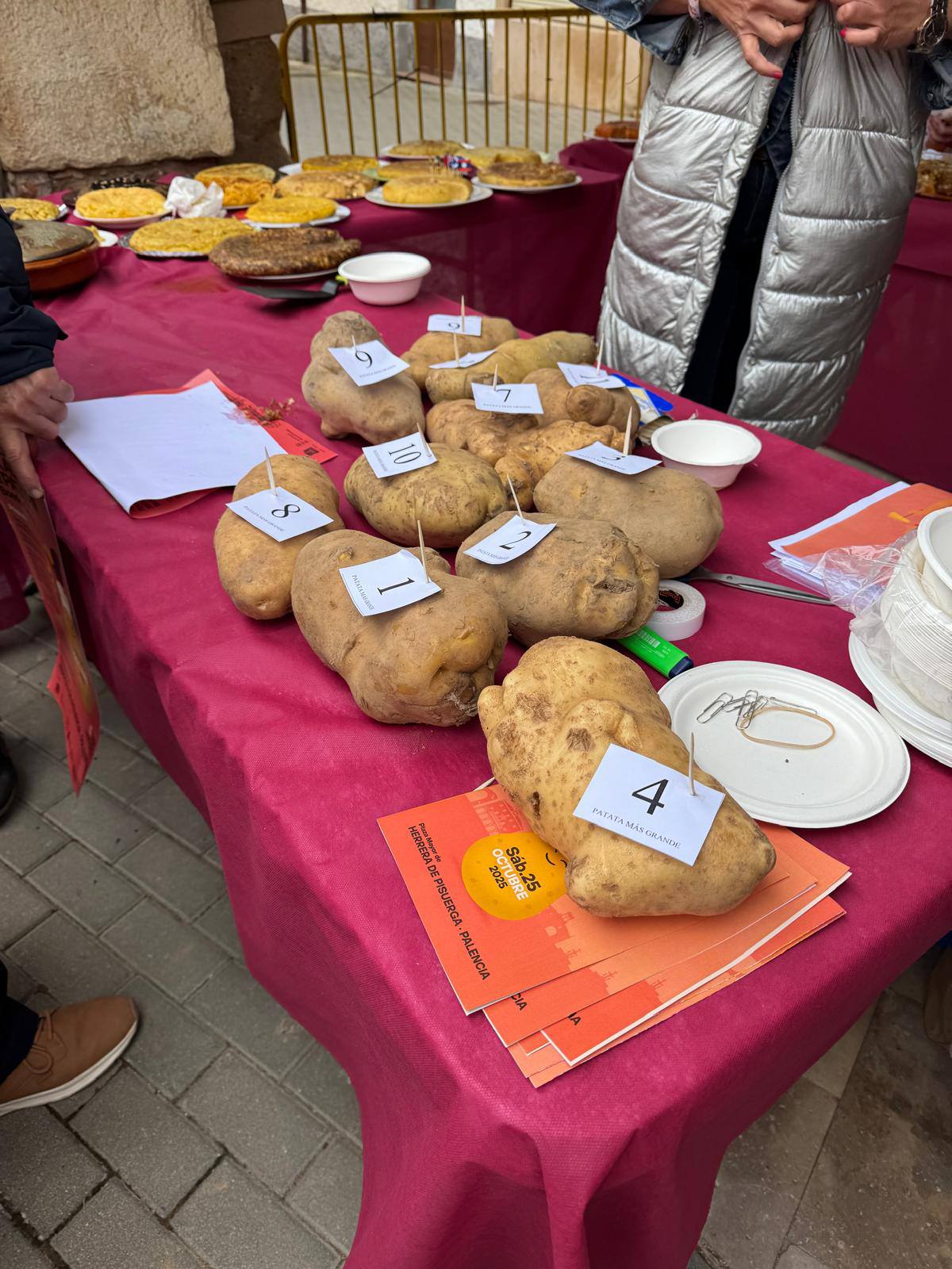 Concurso la patata más grande. Feria de la Patata Herrera de Pisuerga.